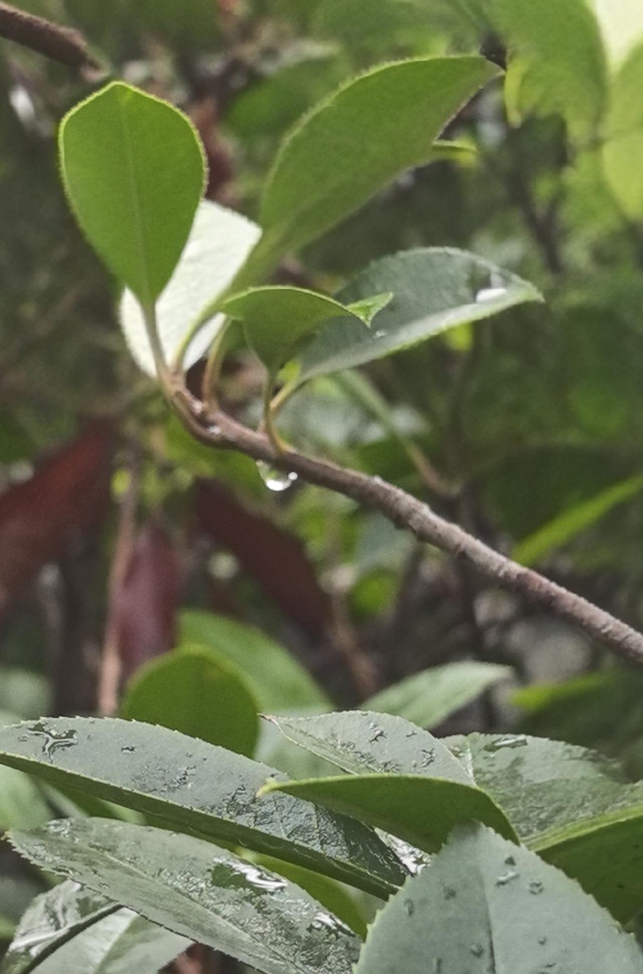 打拳憋气，不如不练

见过公园里有人打拳，脸憋得通红，一套拳打完，站那大口喘气。