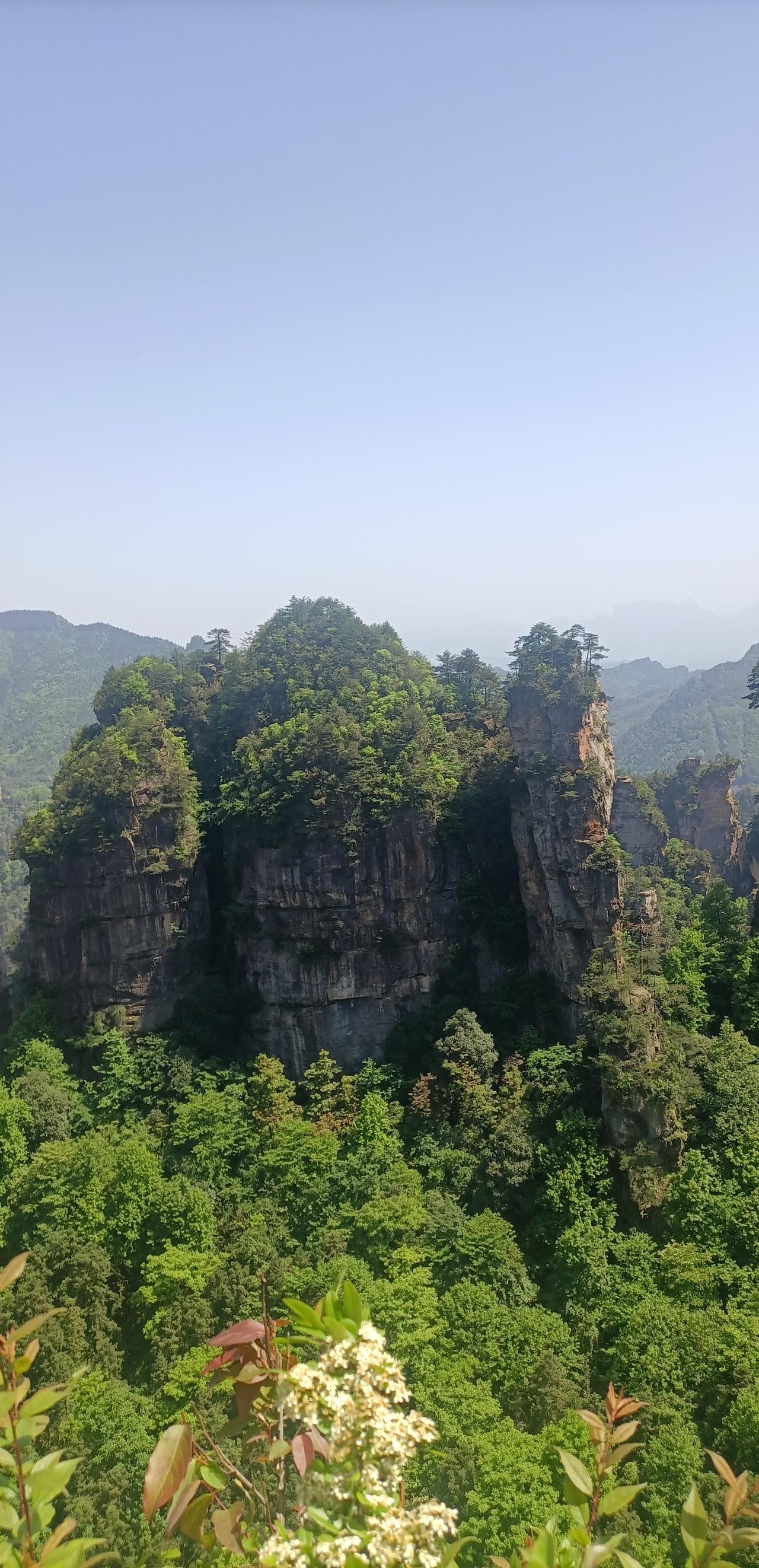 【夏之韵·让心容纳山河与温柔】夏日生活打卡季
所有的情绪内耗，
都源于过度执念，