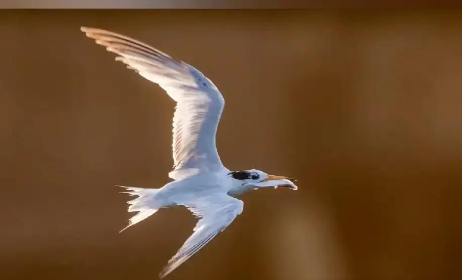 小宇把办私立学校拍成连续剧，我刷到他把课桌刷成薄荷绿那集，一下想起我小学那间漏雨