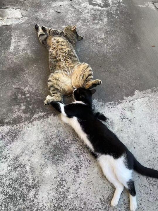 这就是爱