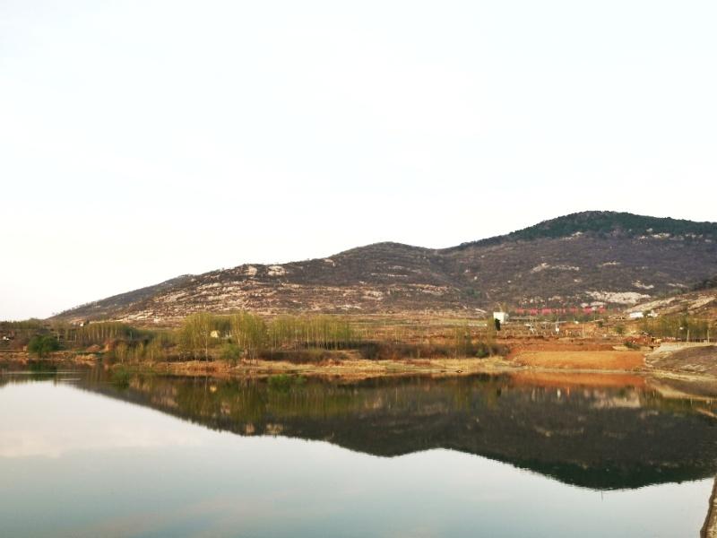 山东宁阳老家风景山东dou知道