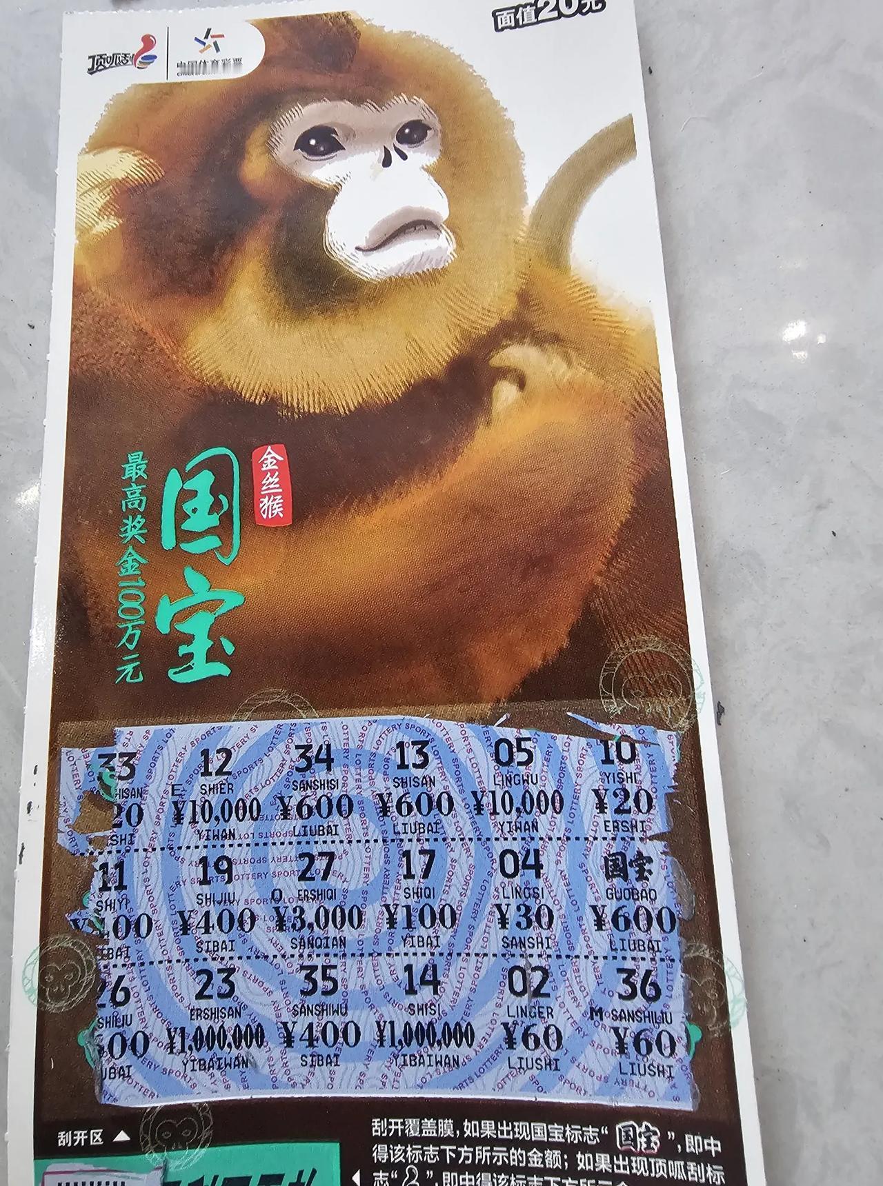 当你玩了400多块钱彩票的时候
才出了一张600
请问心里是什么感受？
这个国宝