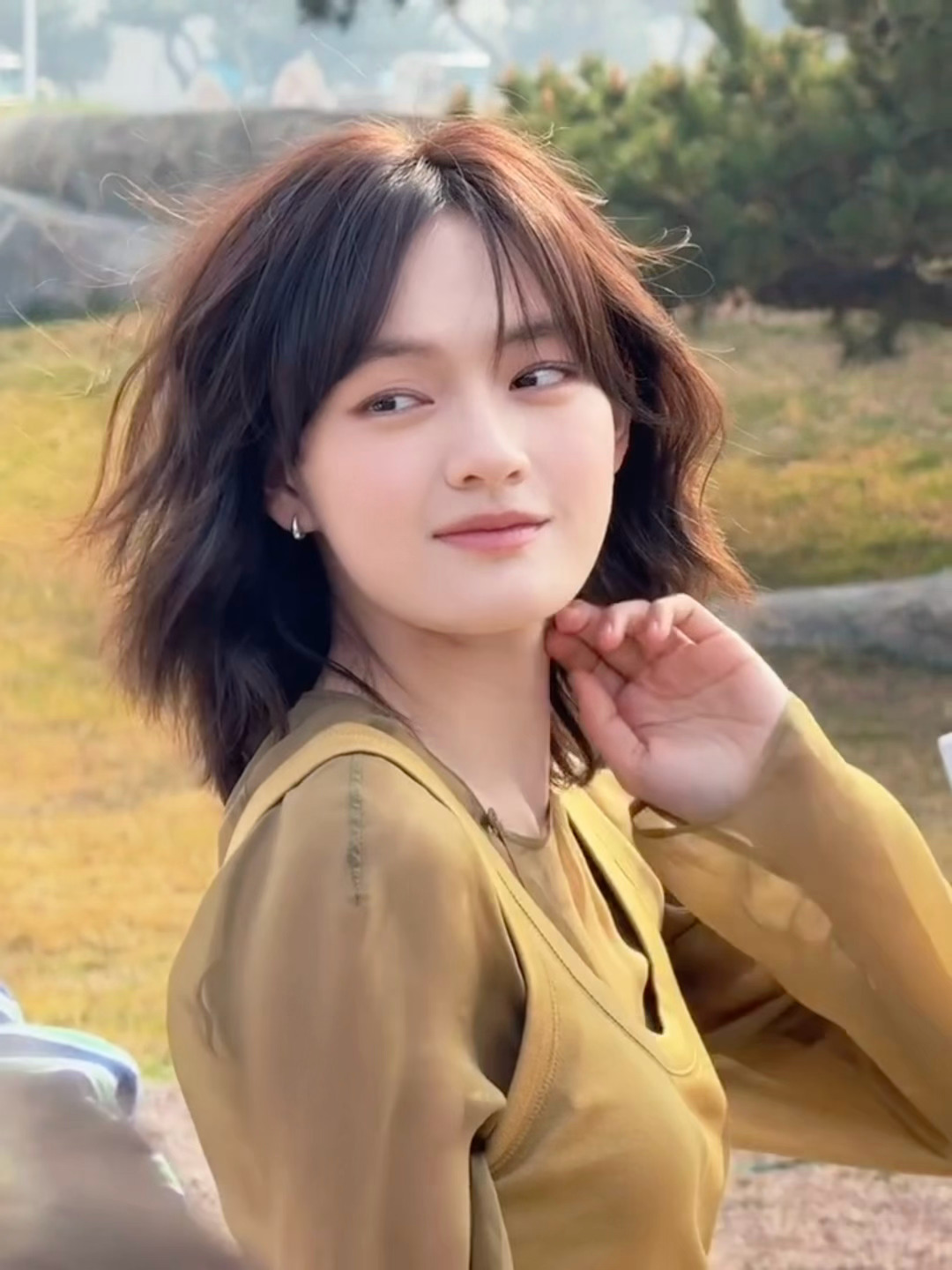 文淇无法被驯服的树 🍂 