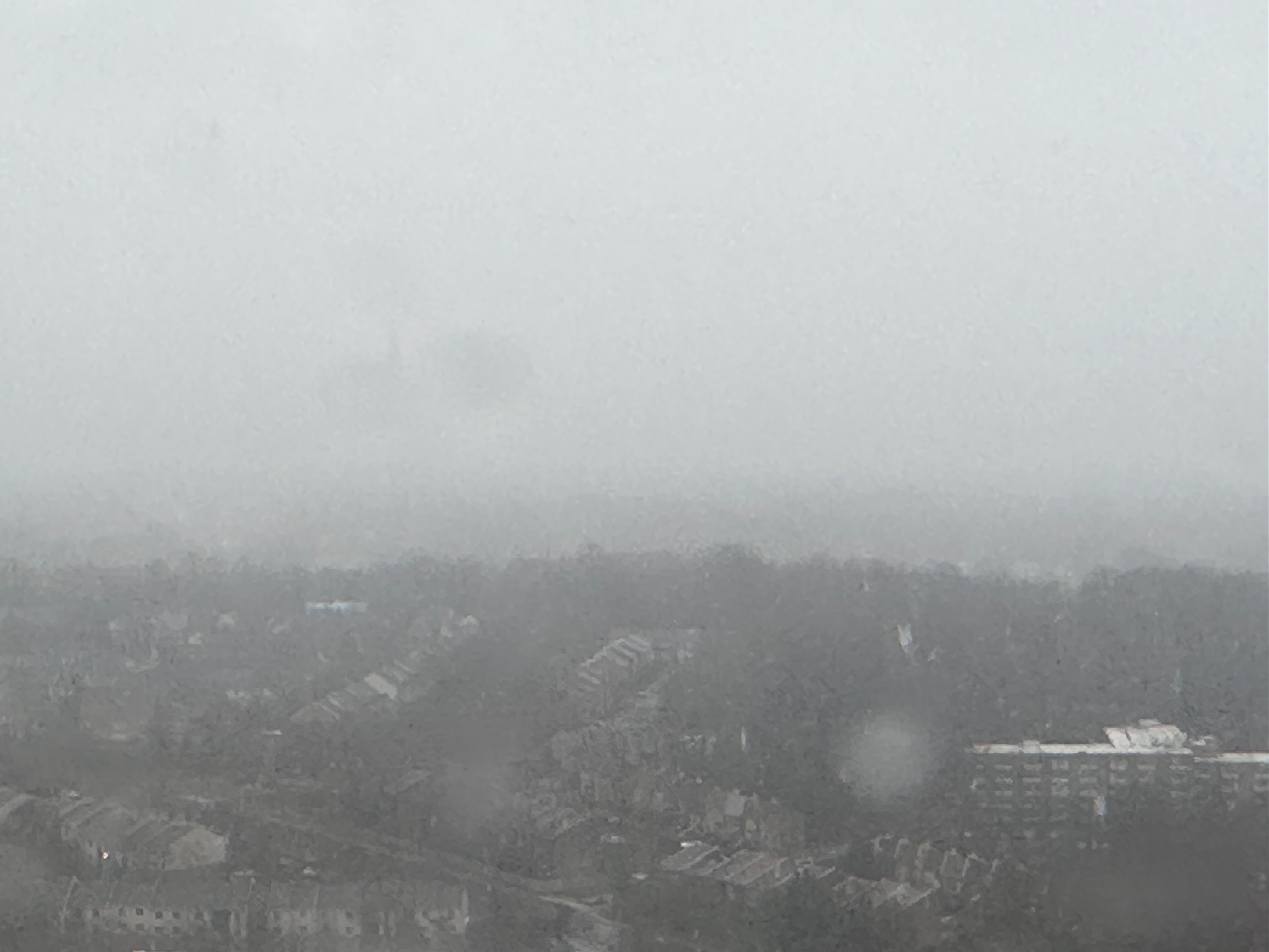 昨天还29度，今天又鹅毛大雪❄️大华府今年的天气真的太诡异了 今年冬天也太长了 