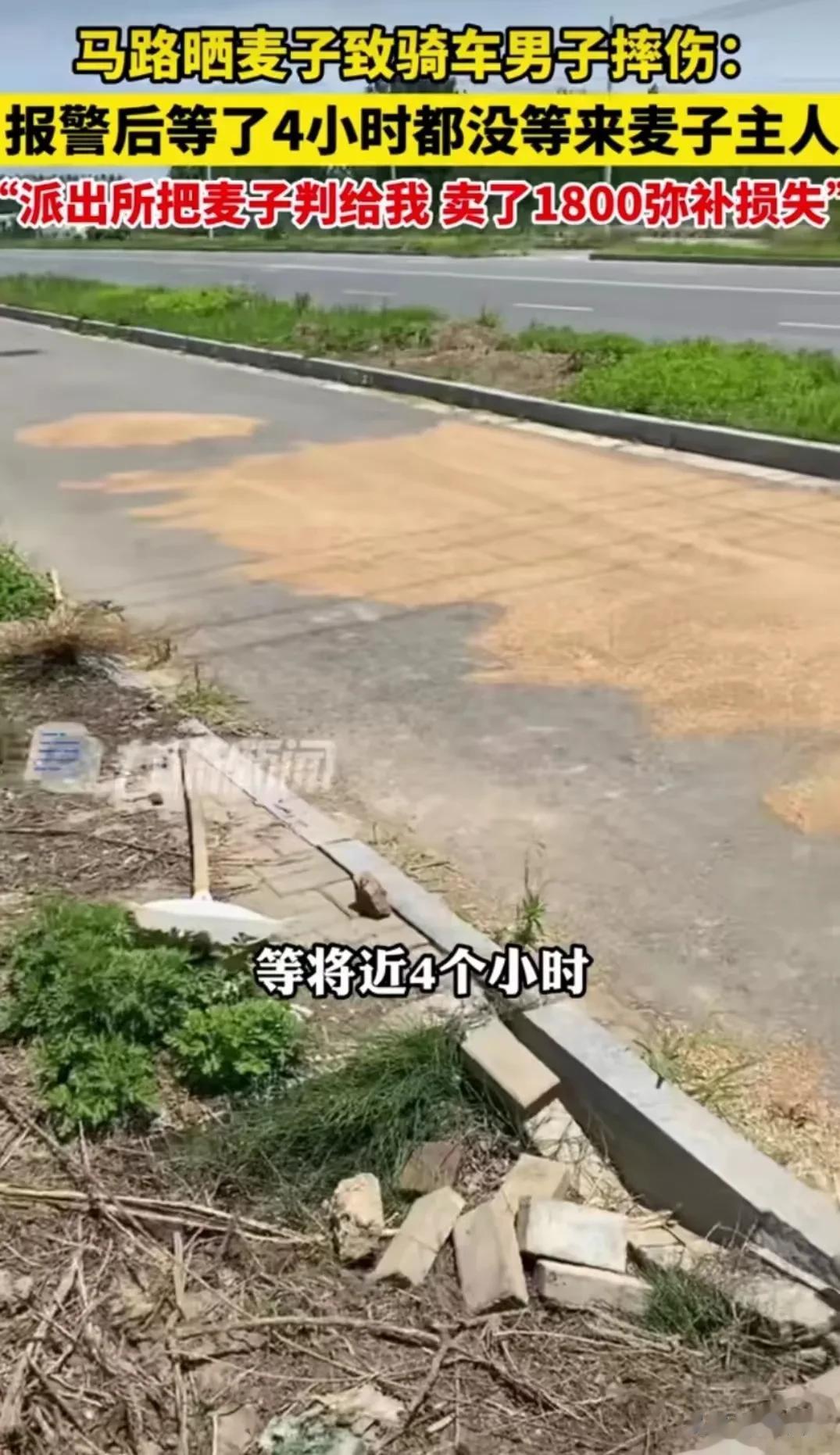 江苏淮安，有人在马路上晒麦子，结果致骑车男子摔伤！而男子报案后苦等4小时，也没有