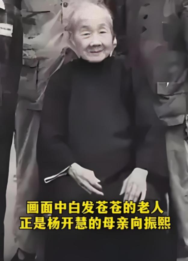 解放后，杨开慧的母亲向振熙老人跪地痛哭，她哭的不是逝去的女儿，而是替那个隐忍二十