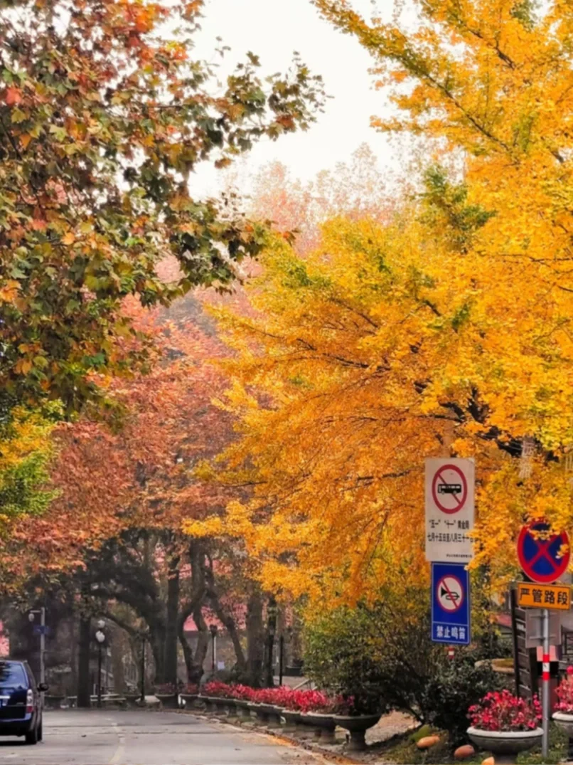 🍂秋天第一次来江西❗️请码住这几个热门景点