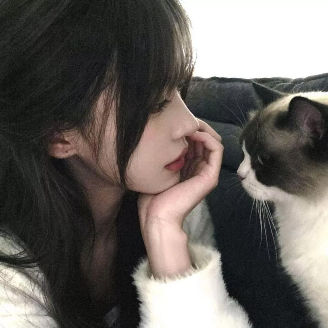 与猫咪的温馨时光，感受柔软的陪伴。猫咪 猫咪萌萌哒 治愈之家的猫咪 猫咪治愈瞬间