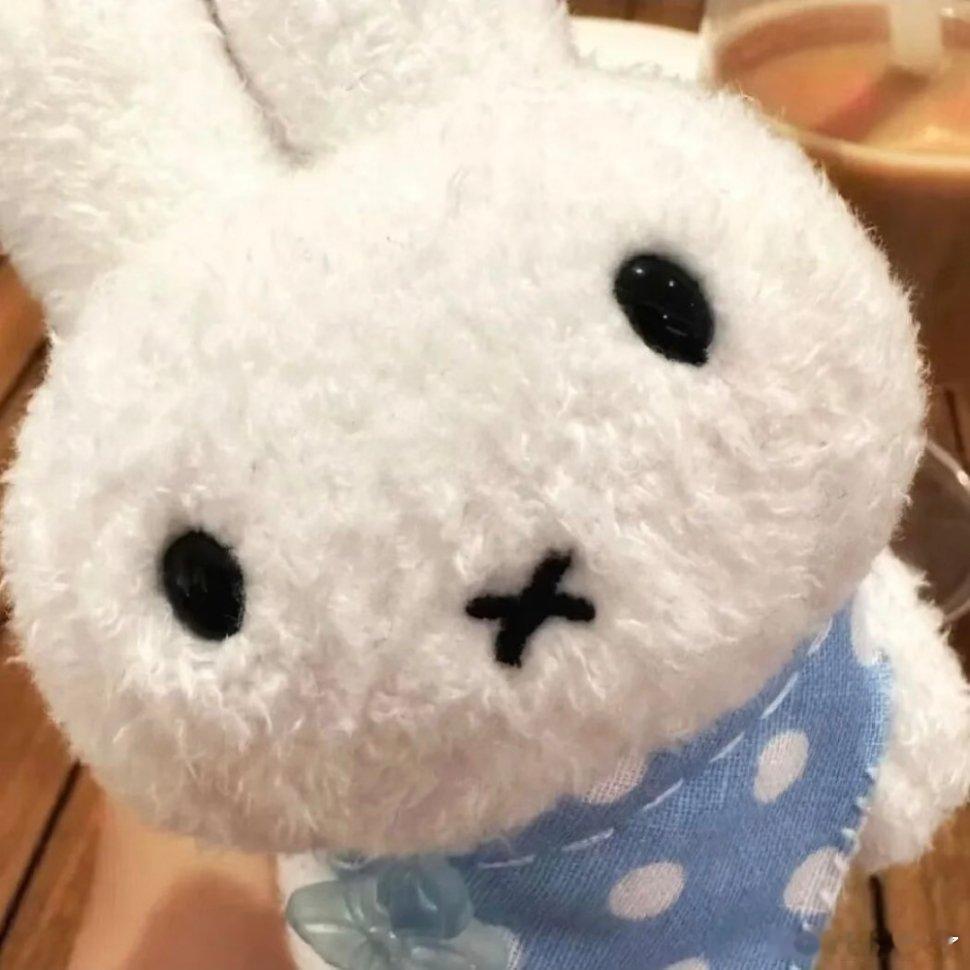 这也太可爱了吧次元新星计划