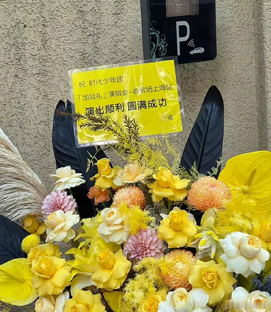 白鹿又给时代少年团送花篮了白鹿又送时代少年团花篮白鹿又给时代少年团送花篮了、哇塞