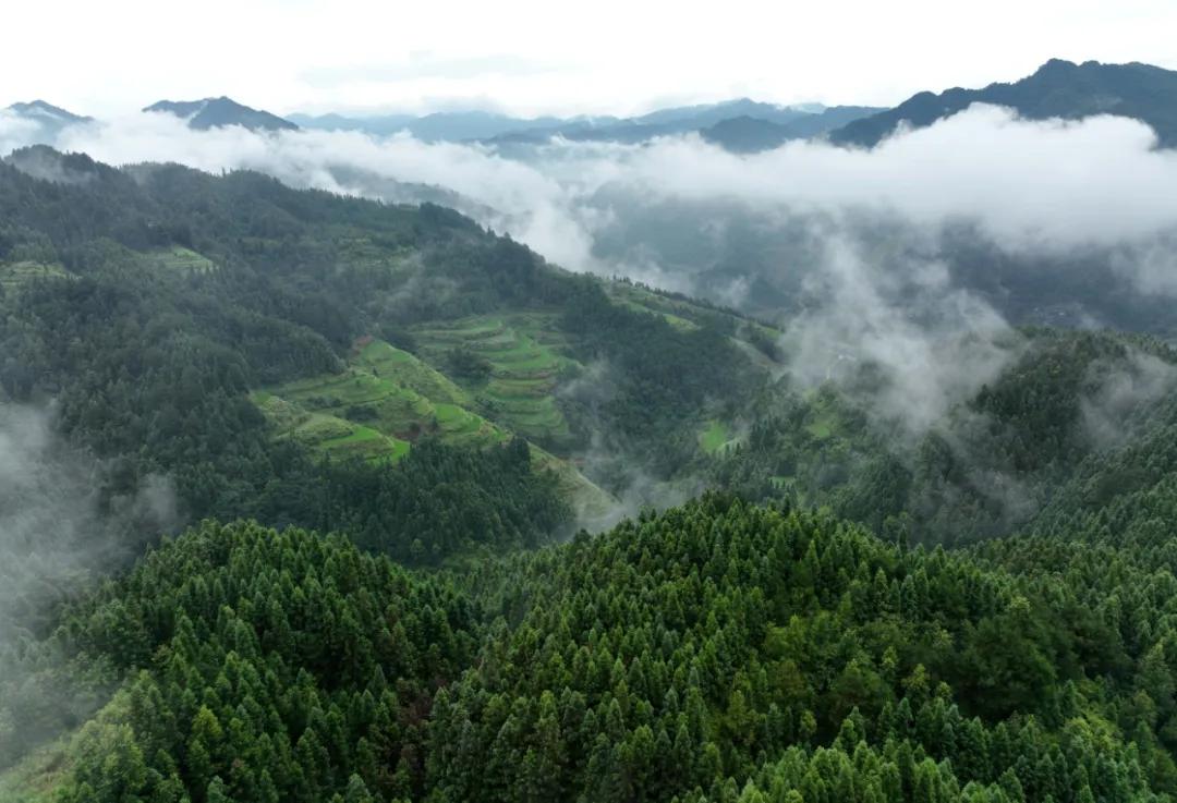 雨后的群山景色，薄务环绕，远处的山若隐若现，似仙境一般，漂亮极了！云雾自然风景