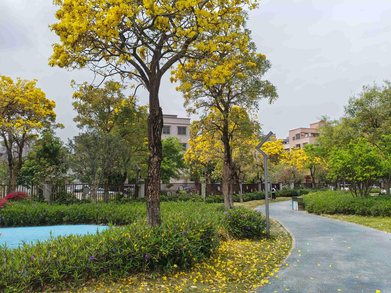 我的今日状态：😁轻松愉快
我这里的天气：🌤️多云