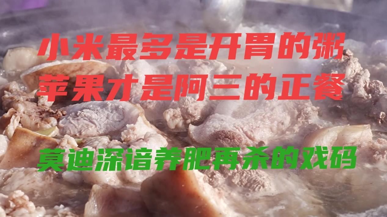 用中国货干掉中国，实现印度产业的真正起飞。380亿罚单启示录。
小米最多是开胃的