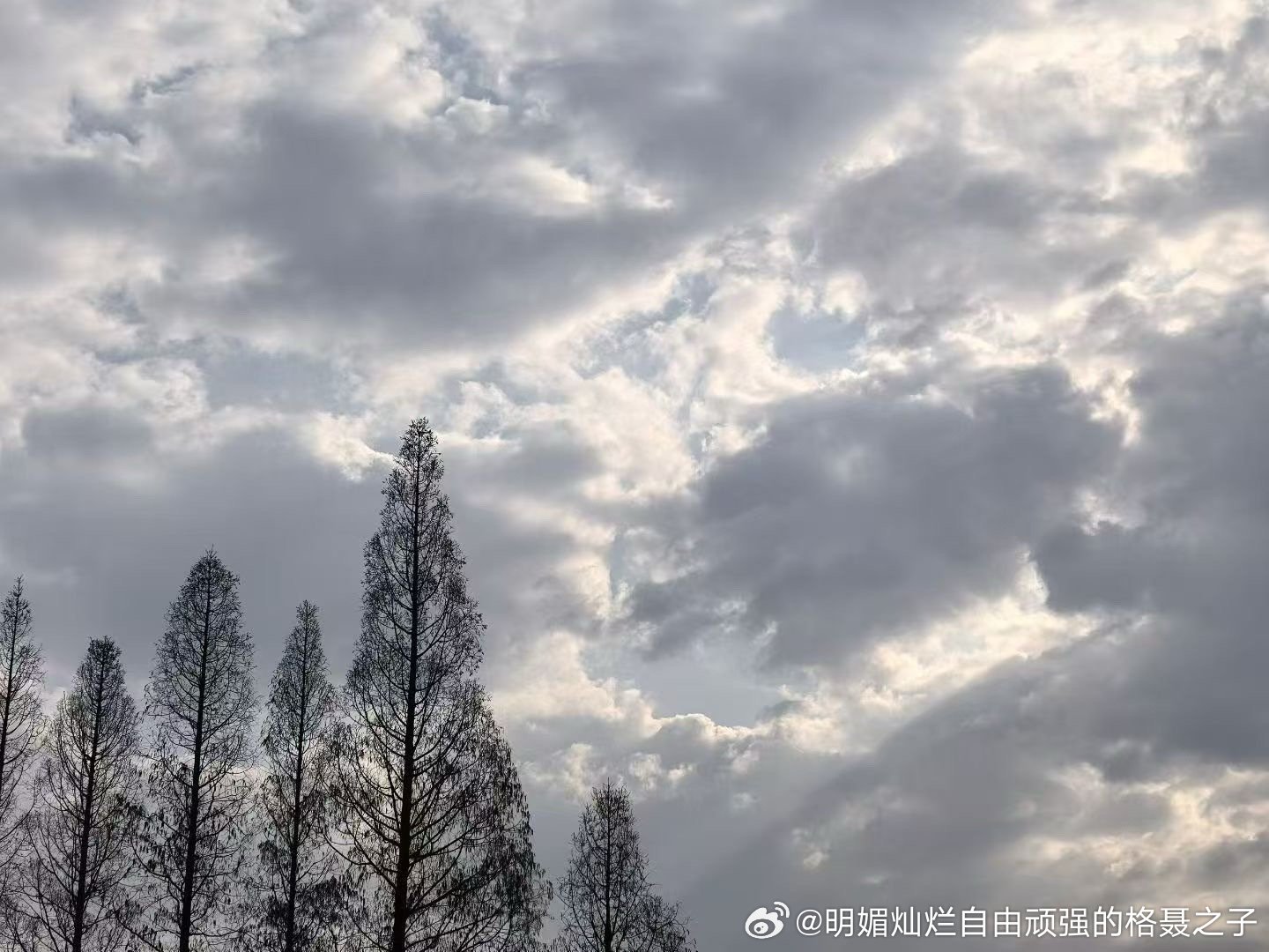 唯一不变的就是变化本身 