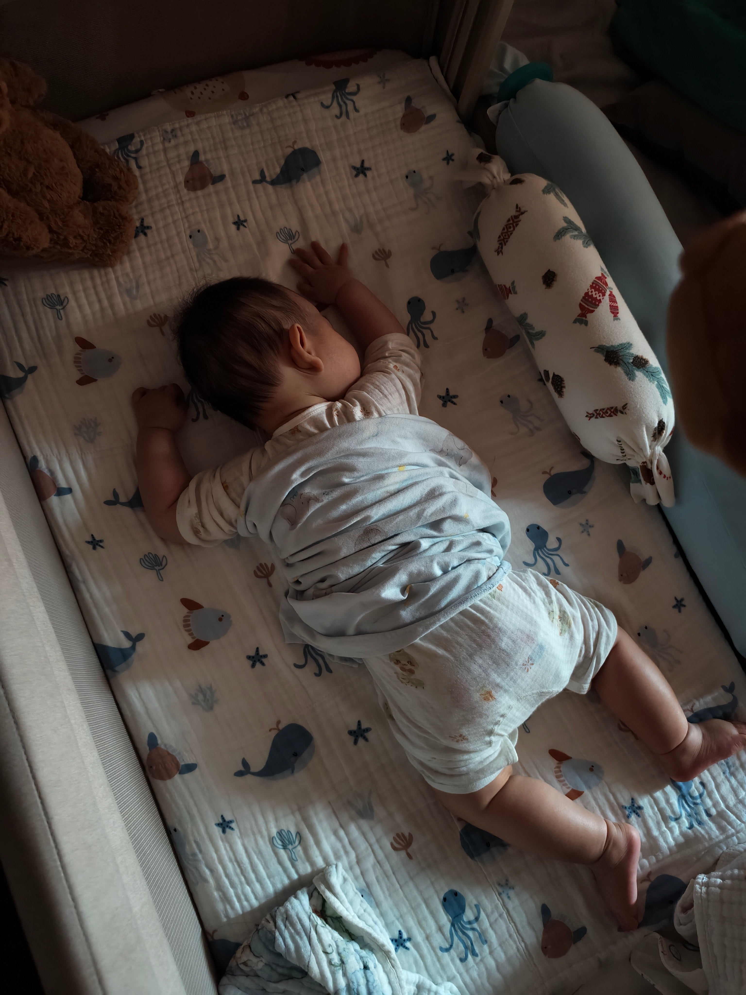 我家宝贝现在特别喜欢这样趴着睡我有的时候都担心别给他捂到了[允悲] ​​​