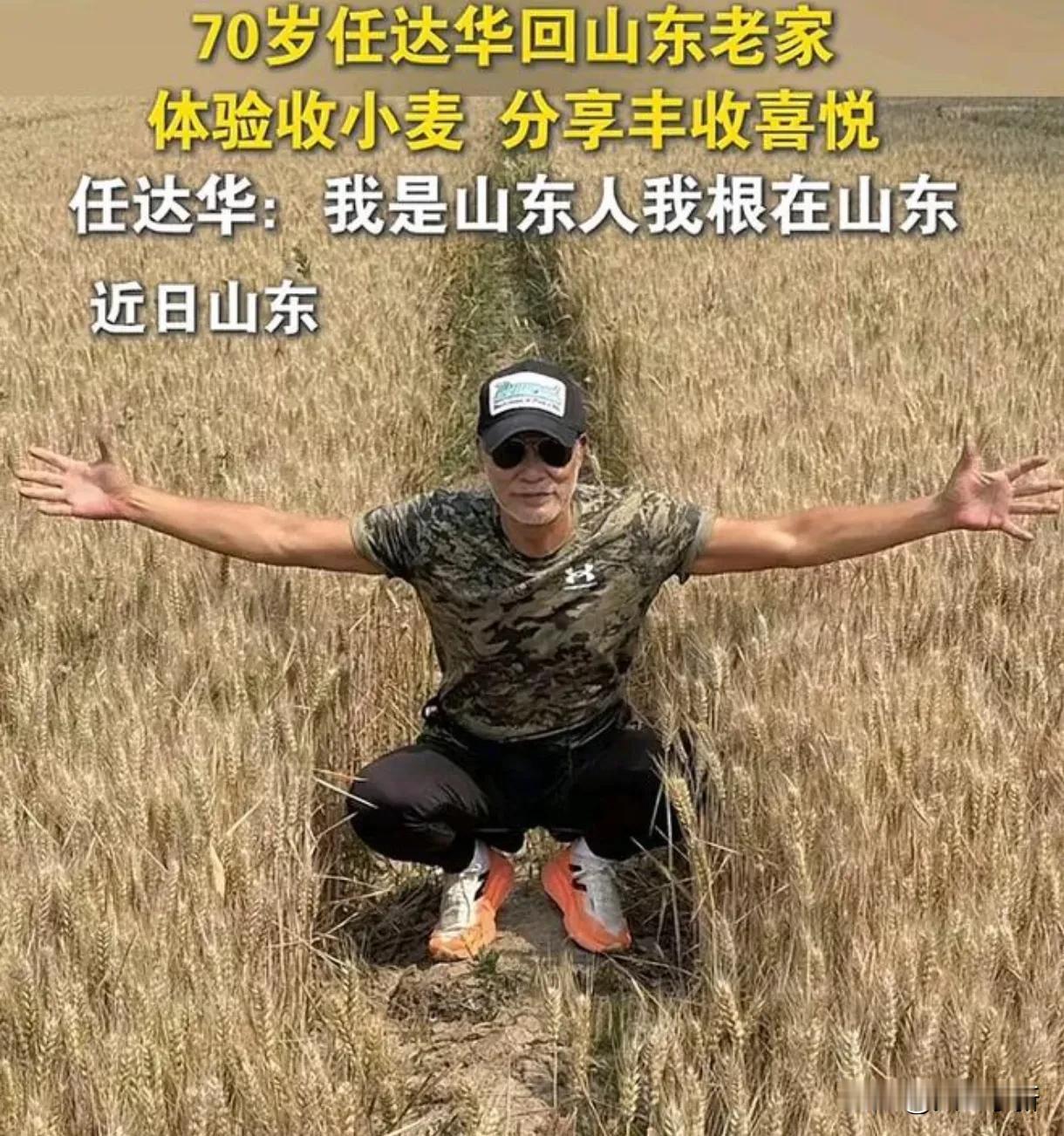 笑不活了，不过笑完立马点赞

任达华回山东收麦子了，配与麦田合影照发文，并说：“