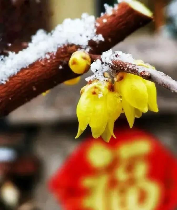中年这阶段，压力山大，工作家庭两头堵，很多人觉得日子过得鸡飞狗跳。可最近几年数据