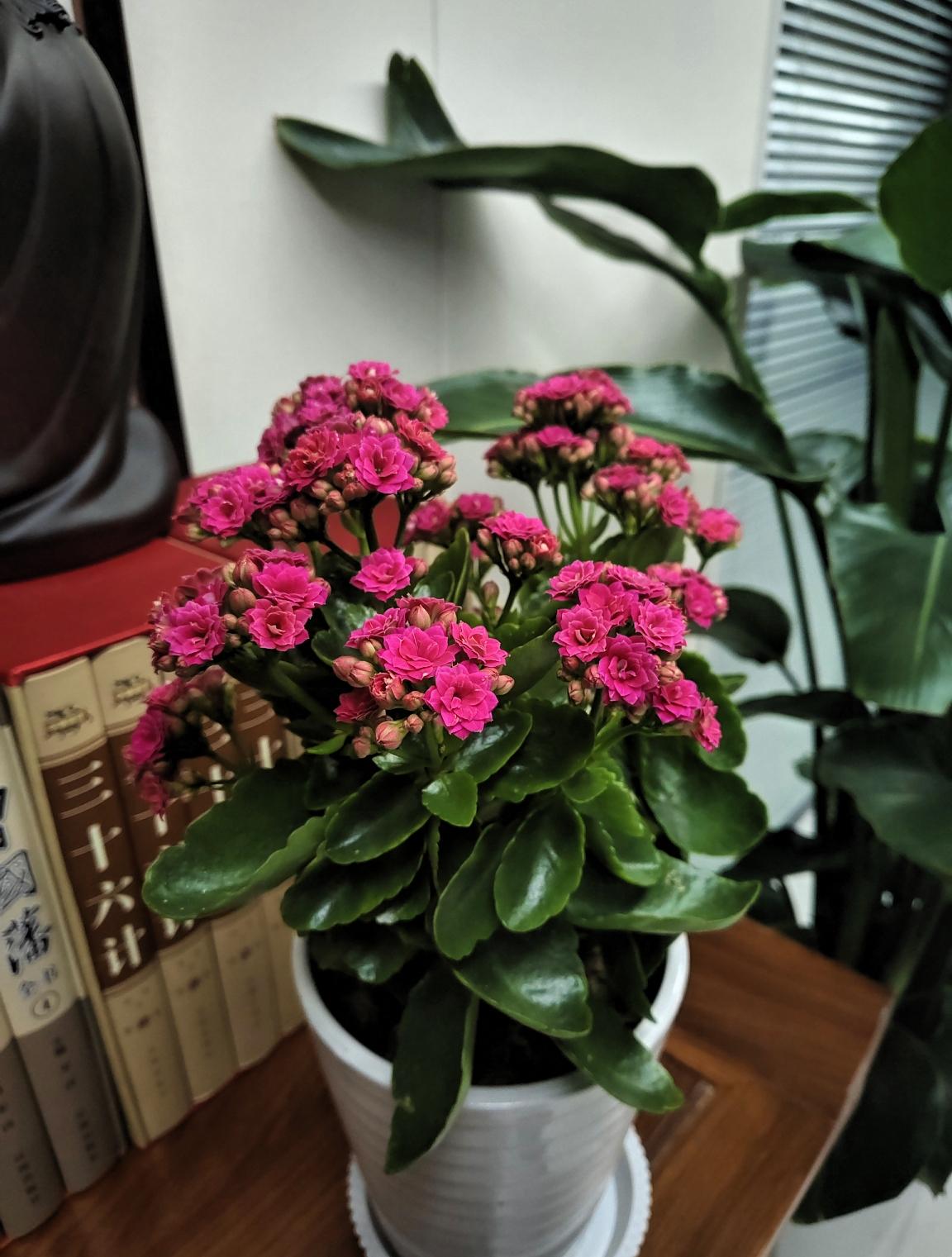 经常安慰自己的一句话：慢慢来，一切都会好的活到现在，最常用来安慰自己的一句话就是