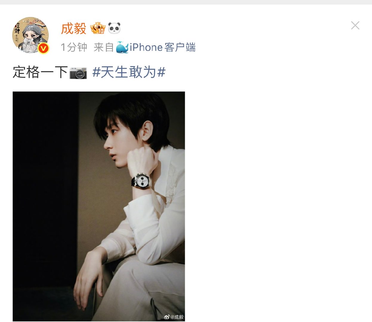 成毅定格一下成毅就这么轻轻的秒了 