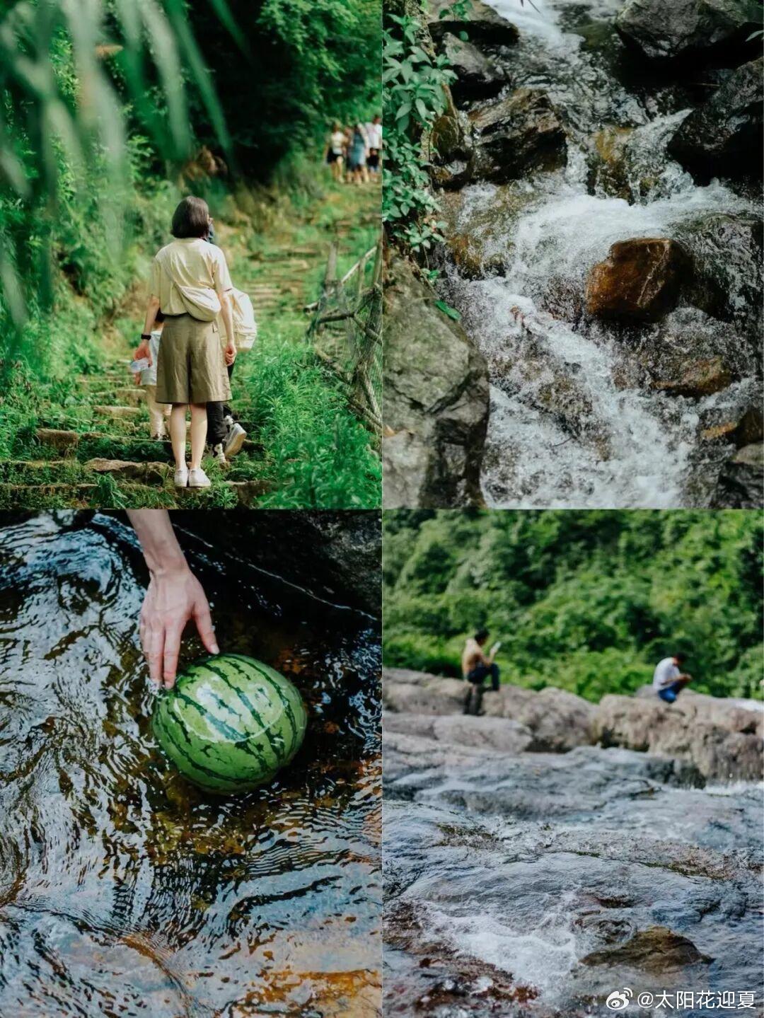 夏山溪水，风与自由🍃 