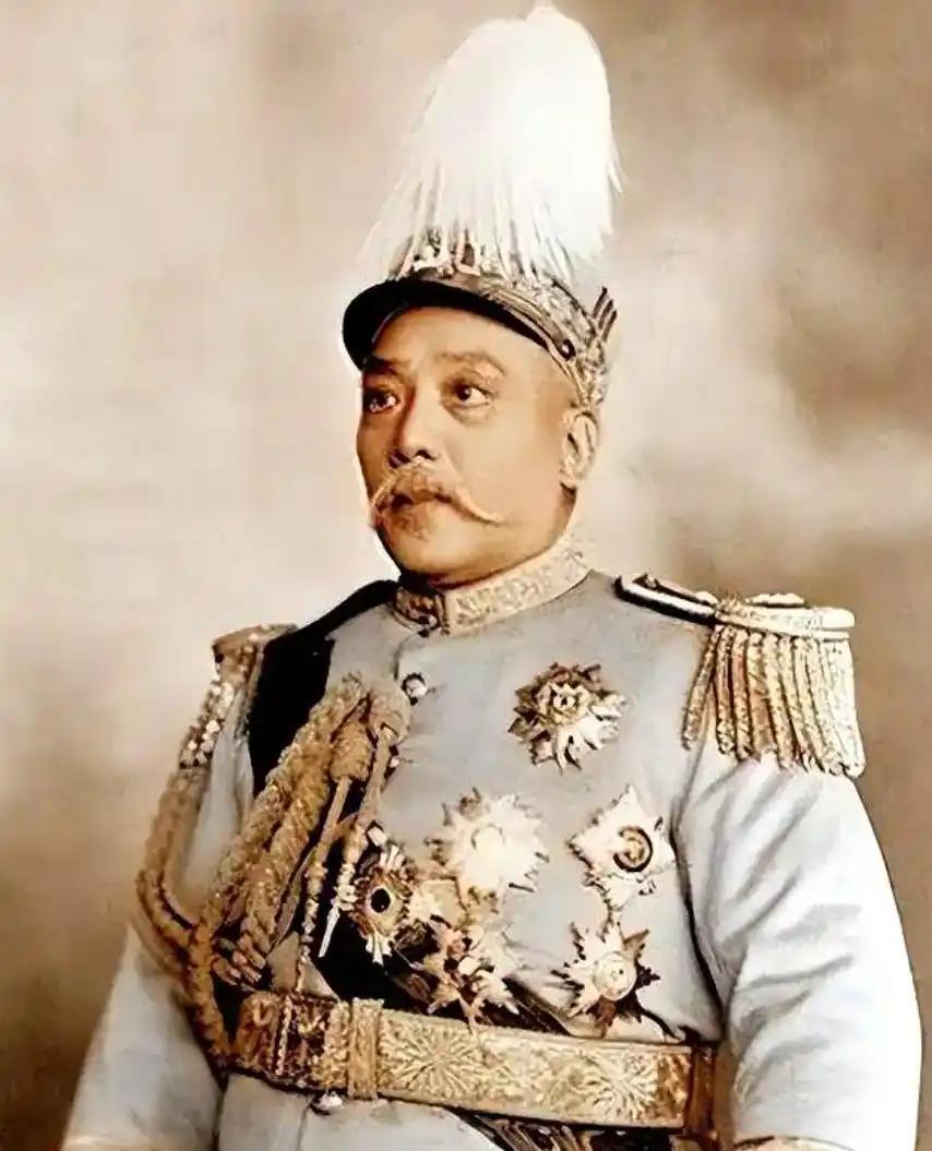 1916年一代枭雄袁世凯猝死居仁堂，中医萧龙友见其身躯肿胀不已，直言正是把人参当