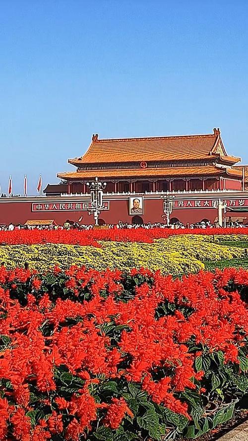 科学技术发展日新月异，给人们带来了无限的方便和快乐。
为此我们要热爱珍惜今天的幸