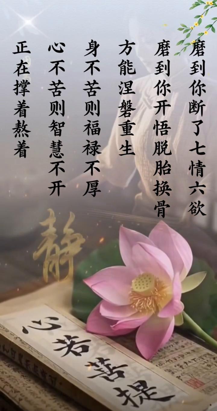 天若助你，必先磨你。磨到你生死看淡，磨到你无情无义，磨到你身无分文，磨到你身心崩