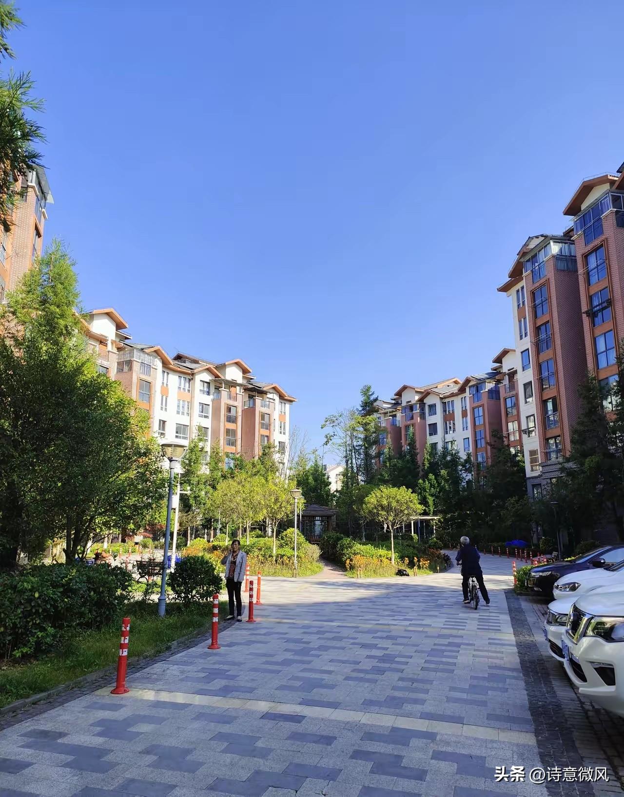 小叔子在全家聚餐时拍桌让我滚出这个家，我刚站起来，十岁儿子却先把一碗汤扣了过去。