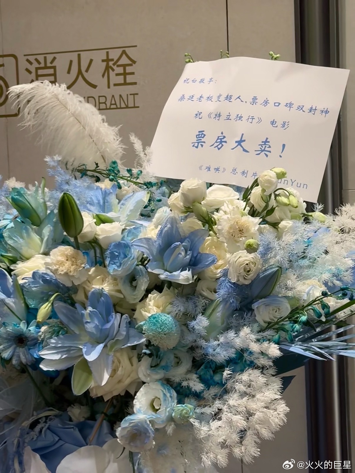 《难哄》总制片人给白敬亭电影《特立独行》送花篮了难哄总制片人给白敬亭电影送花篮难