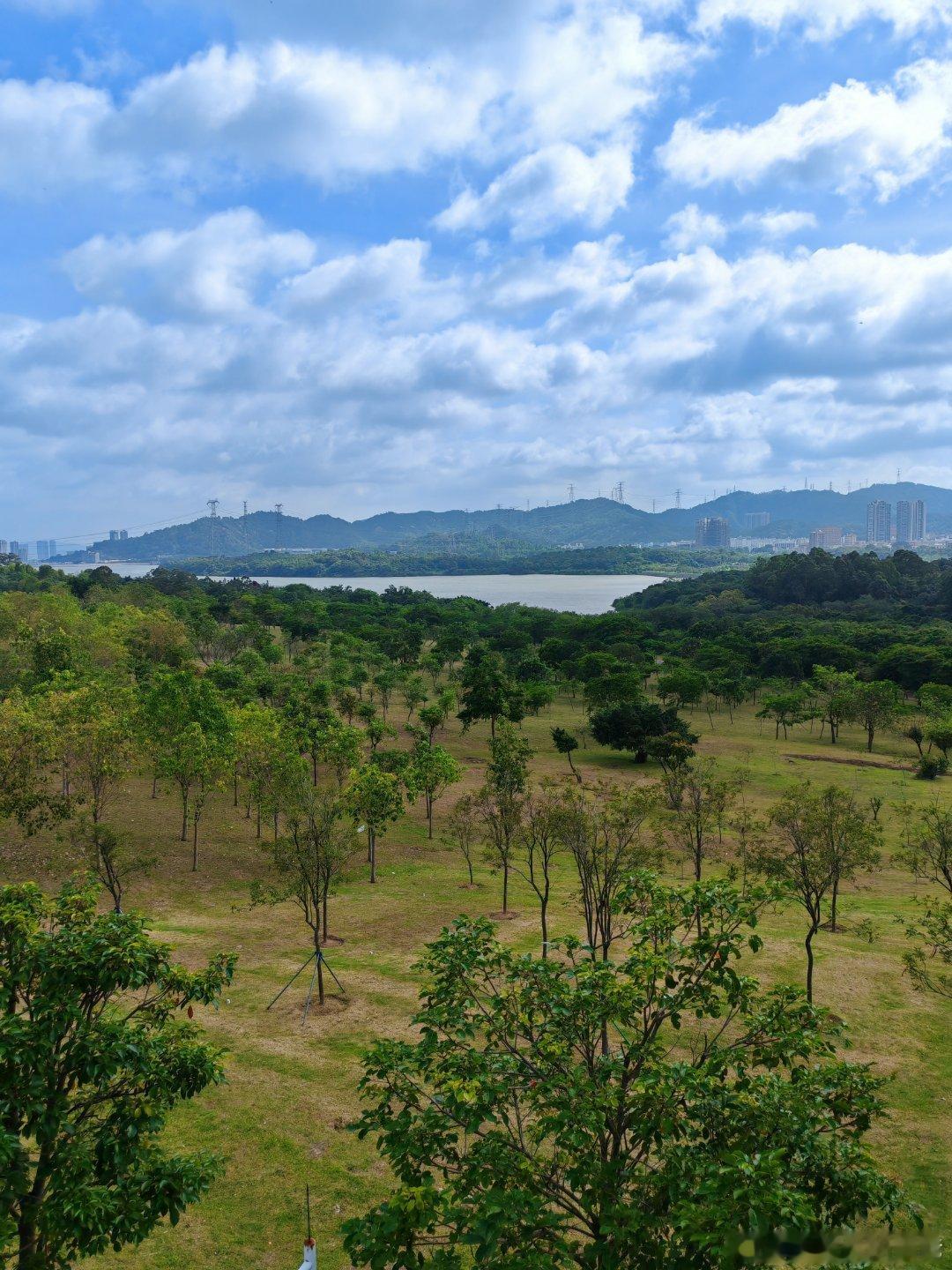 公园太大了，没几个人， 深圳·石岩环湖碧道陌上花公园