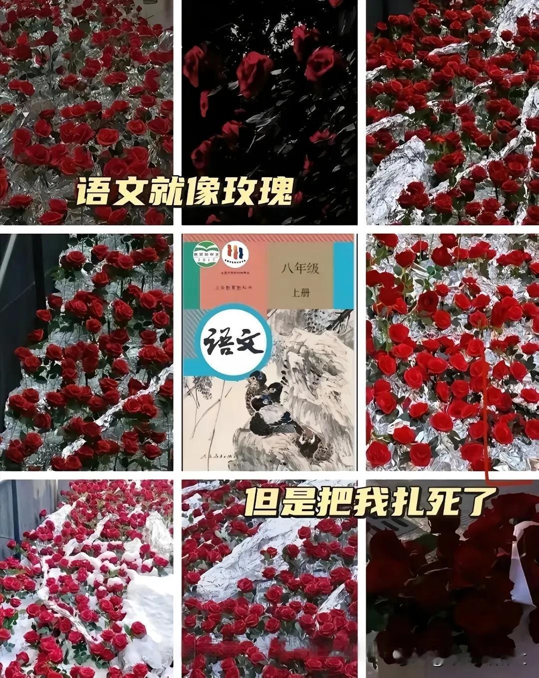 崩溃，七年级的她内心最真实的想法
崩溃，七年级的她内心最真实的想法，只要放假回家
