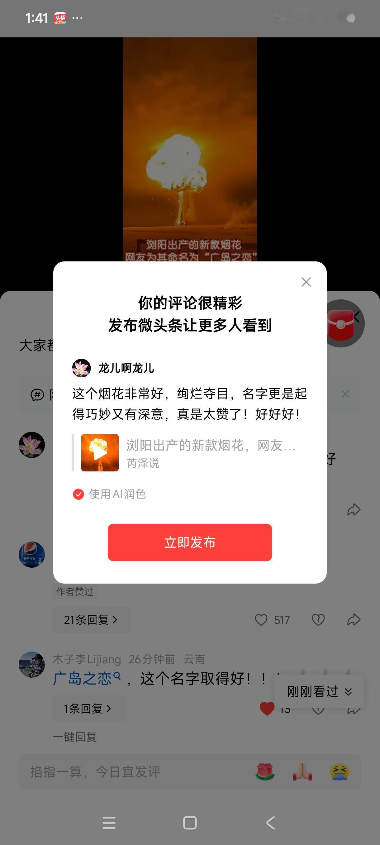 这个烟花非常好，绚烂夺目，名字更是起得巧妙又有深意，真是太赞了！好好好！