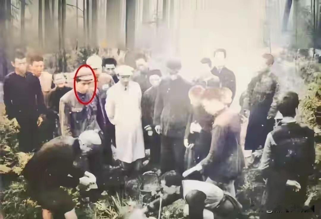 1950年，毛岸英给妈妈扫墓时拍了这些照片。三个月后，毛岸英在朝鲜壮烈牺牲……