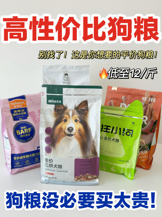 养狗10年才悟了！狗粮真没必要买太贵！