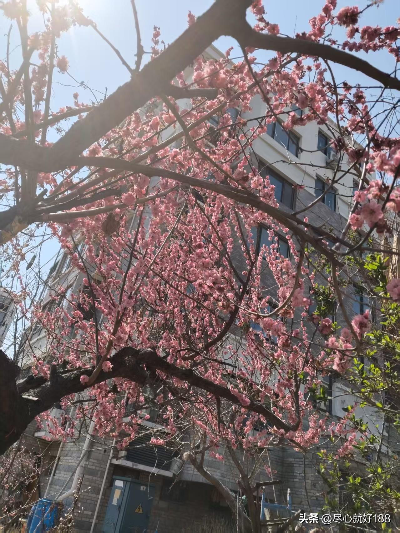 万万没想到，曾经拿过四个世界杯冠军的意大利足球队，竟然连续三界无缘世界杯，特别是