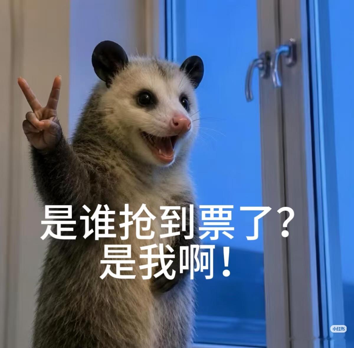 找到两个🐿 四个好友都没有抢到，靠自己抢到了许嵩安泊猜想演唱会 开熏✌ 