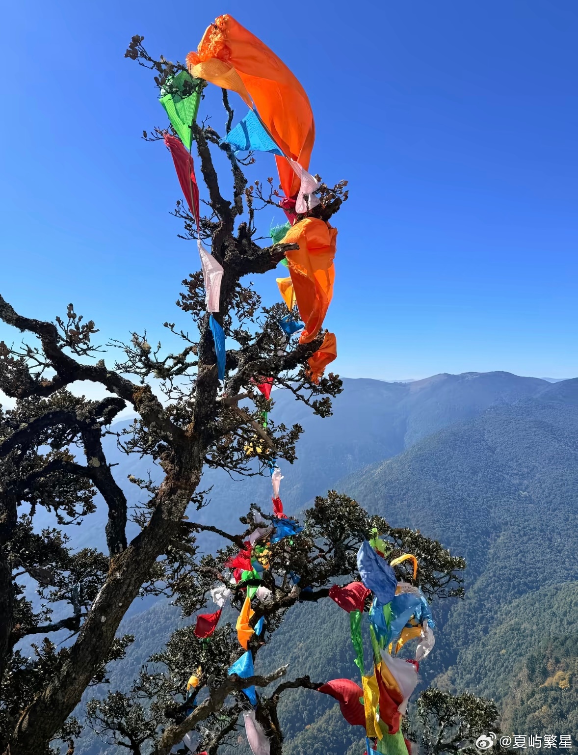 微博年度待改编ip评选pick你心中的改编潜力王 城傍晚的时候，起了风。我站在阳