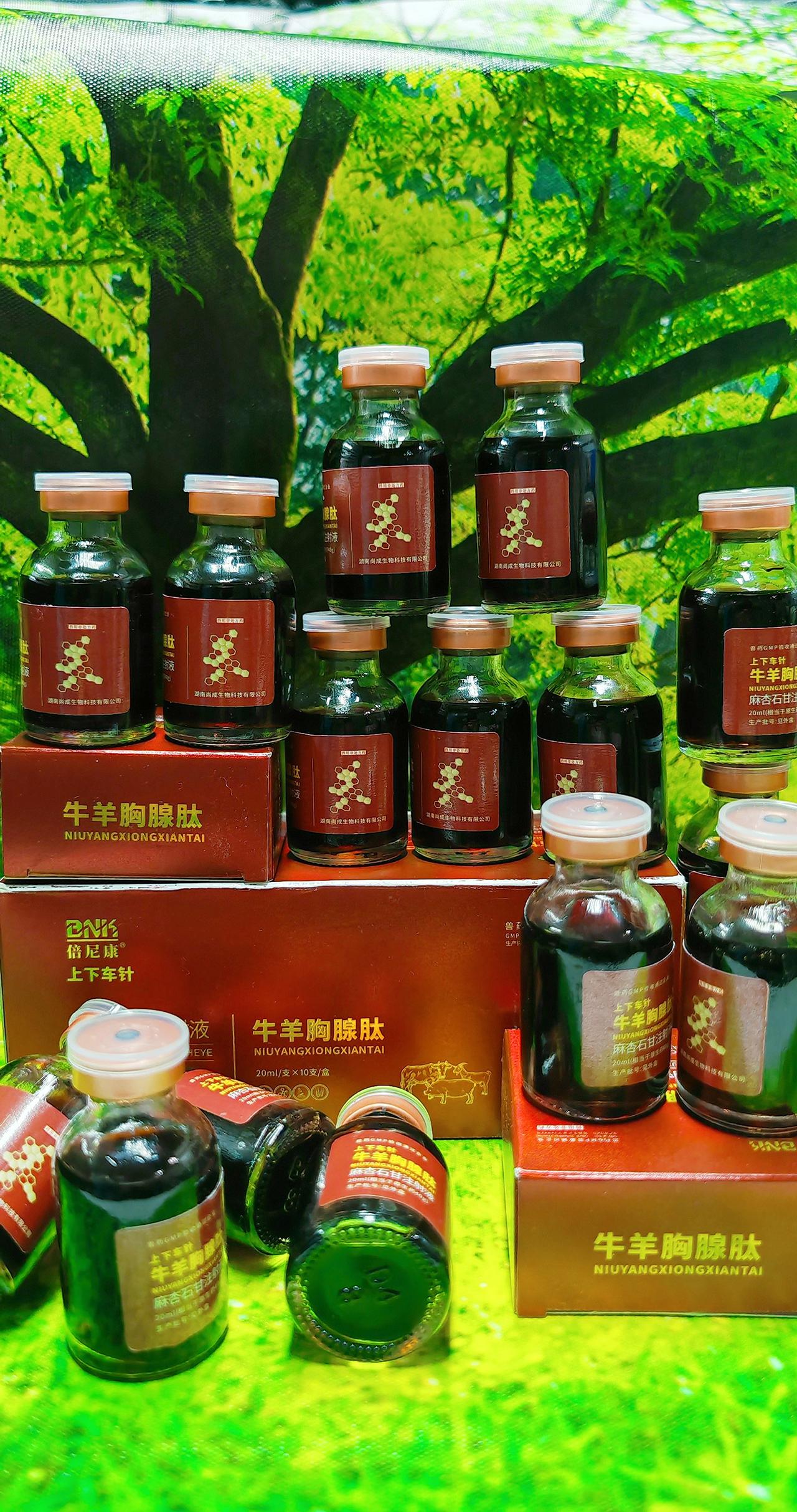 养羊人 农村养羊 养殖场专用