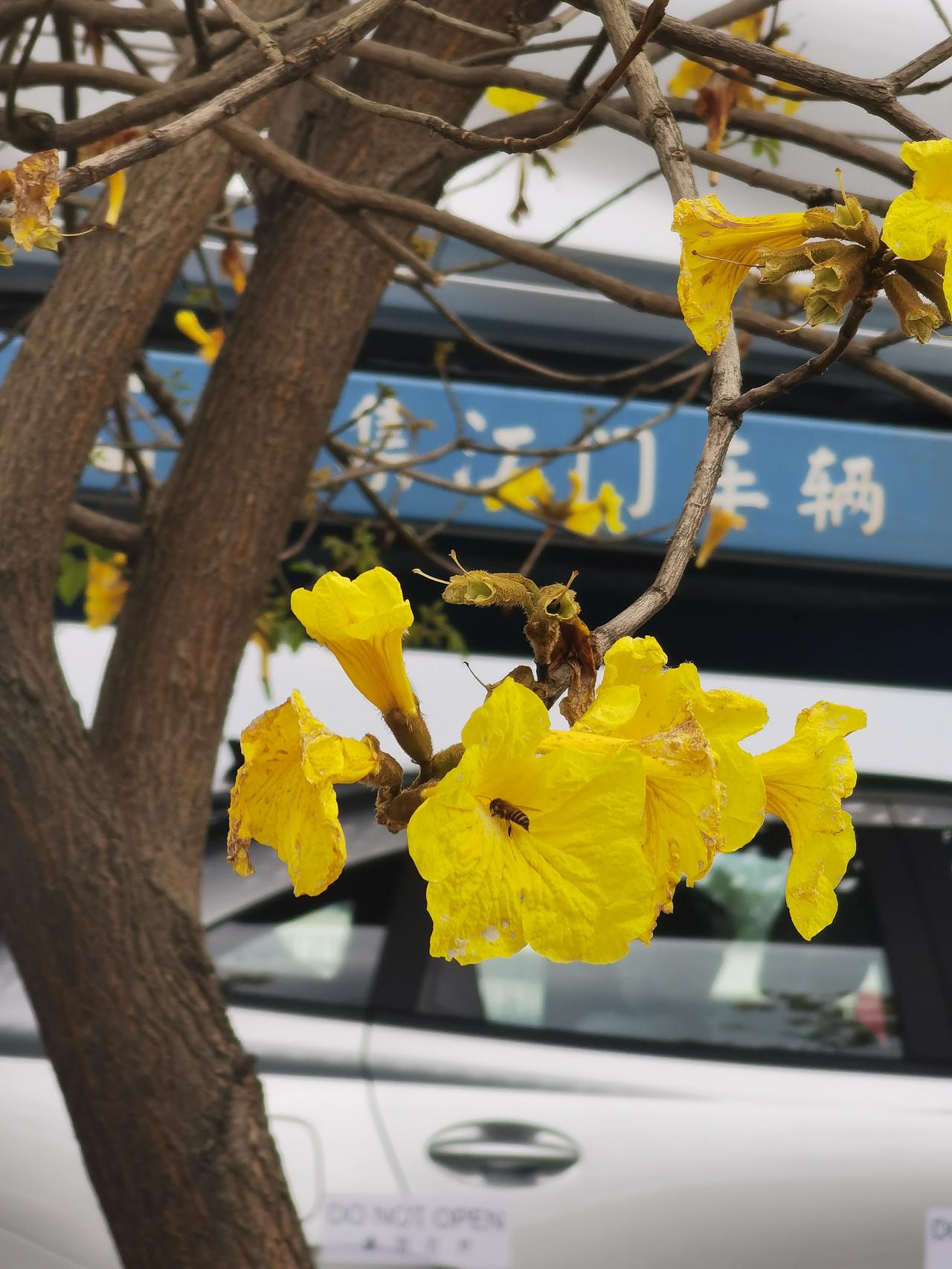 沿途的风景不错