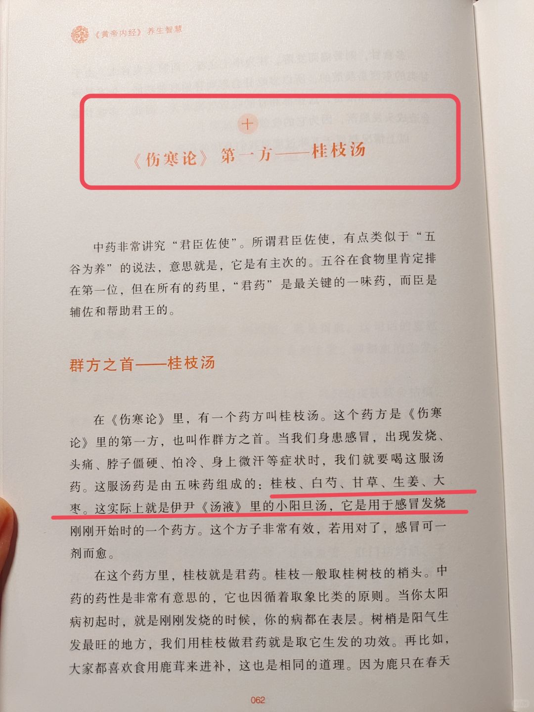 曲黎敏老师——桂枝汤，群方之首🔥