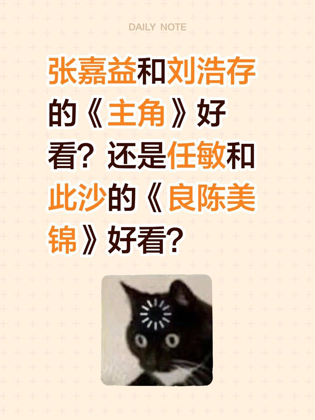 张嘉益和刘浩存的《主角》好看？还是任敏和此沙的《良陈美锦》好看？张嘉益 刘浩存 
