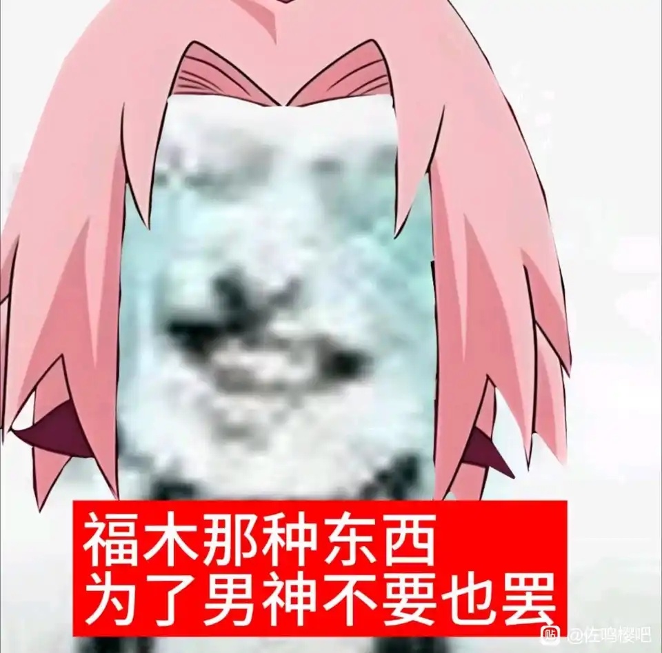 春野樱 戎马一生只为佐鸣