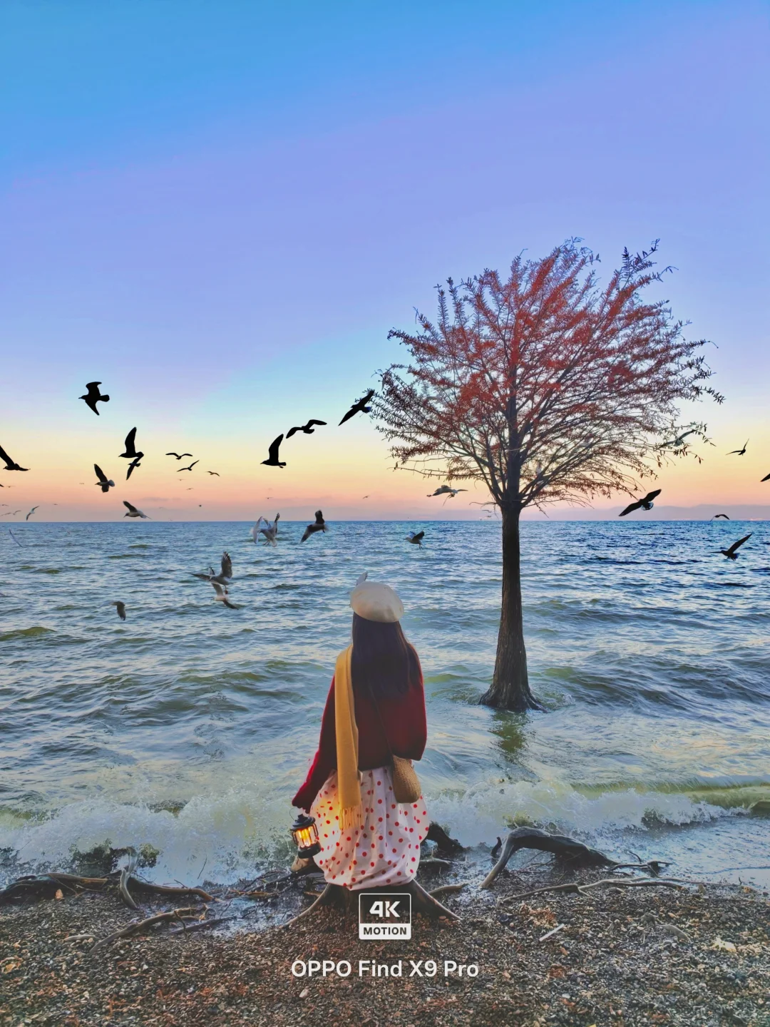 Live实况🌸，昆明的冬天真的劝退不了一点