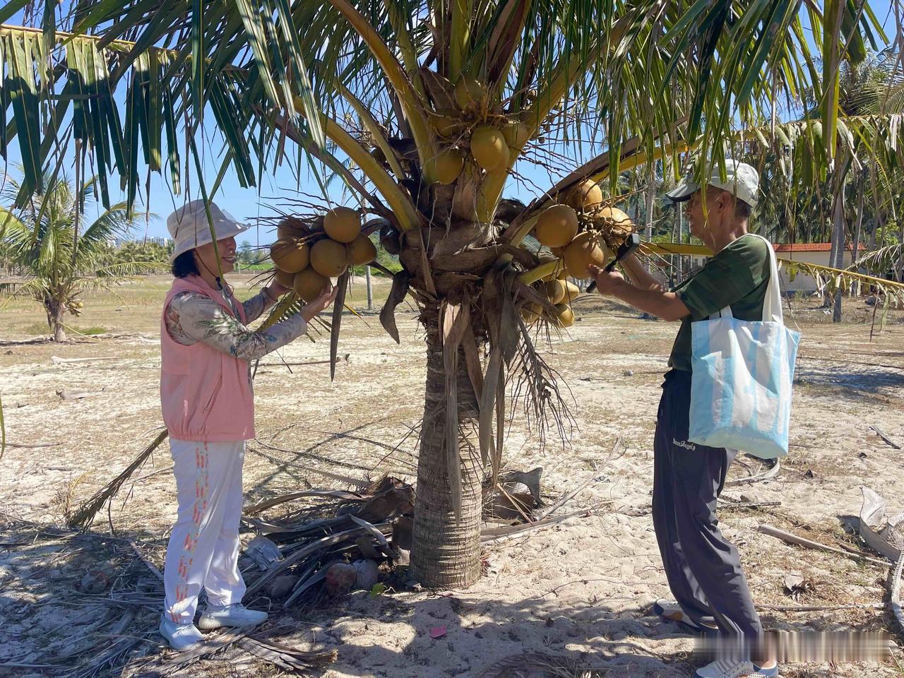 今天到陵水南湾漫游到海边，一路上手机不停的拍照，看到美景与大家分享。