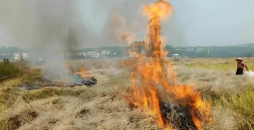 真是万万没想到！以前秸秆焚烧因为会产生雾霾，各地都严令禁止，农民私自烧了还得挨罚