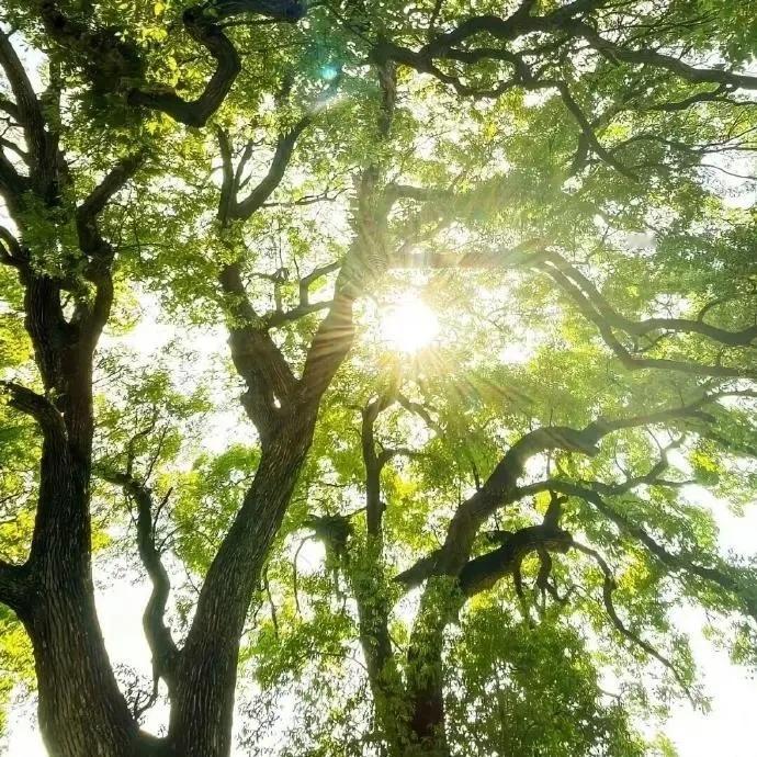 顶着一切热爱生活，才是真的酷 