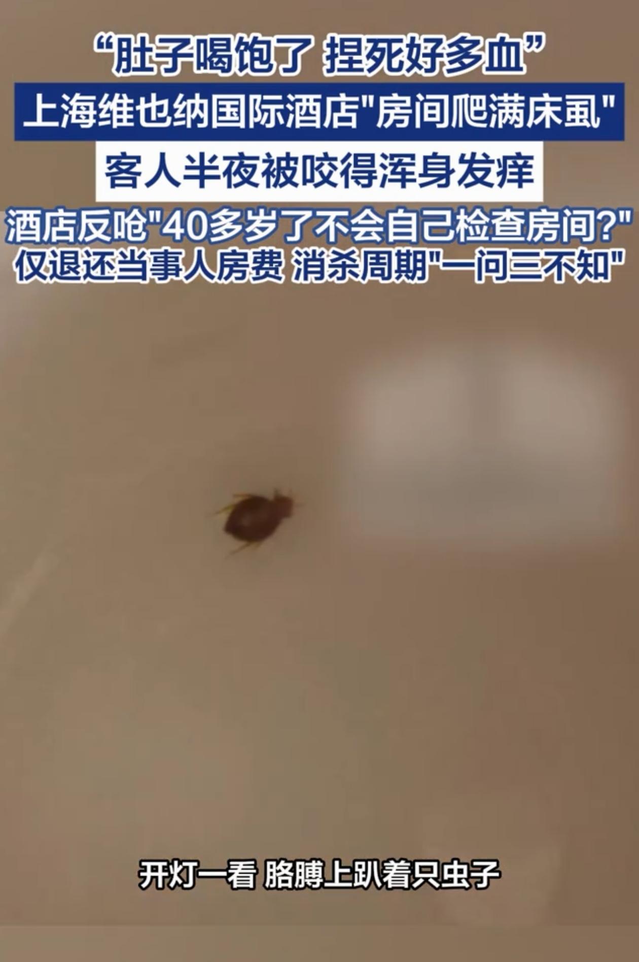 上海，男子出差住酒店，半夜感觉胳膊痒痒的，开灯一看，只见床上爬满了床虱，个个吸血