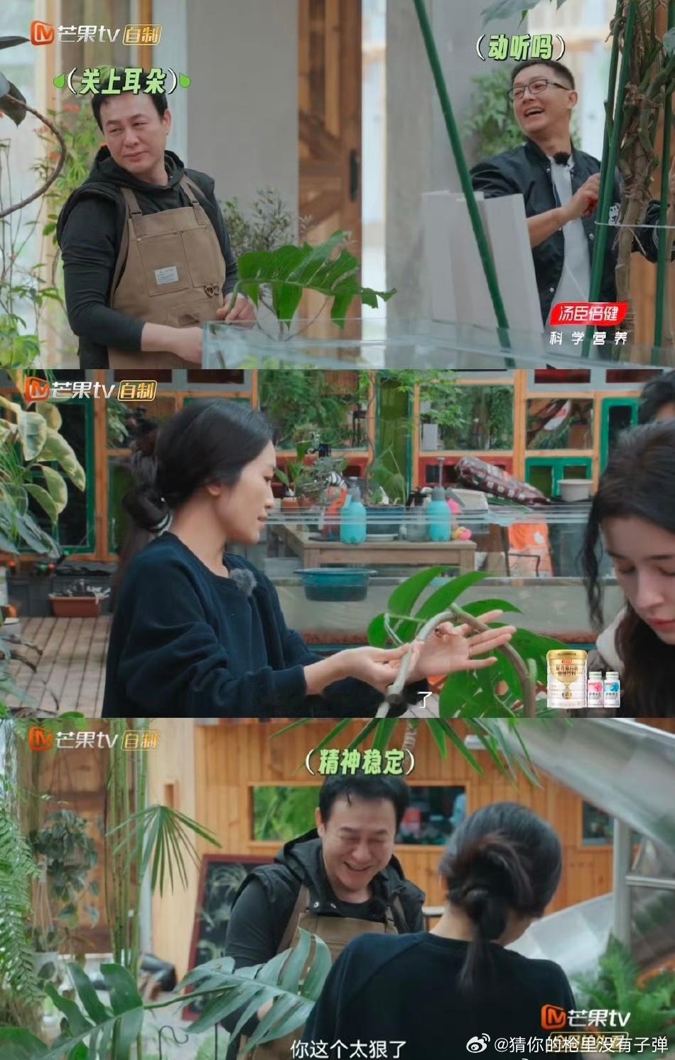 #张末再说下去张颂文要碎了##张颂文一生的劲敌张末# 当张末拿起剪刀对龟背竹下手