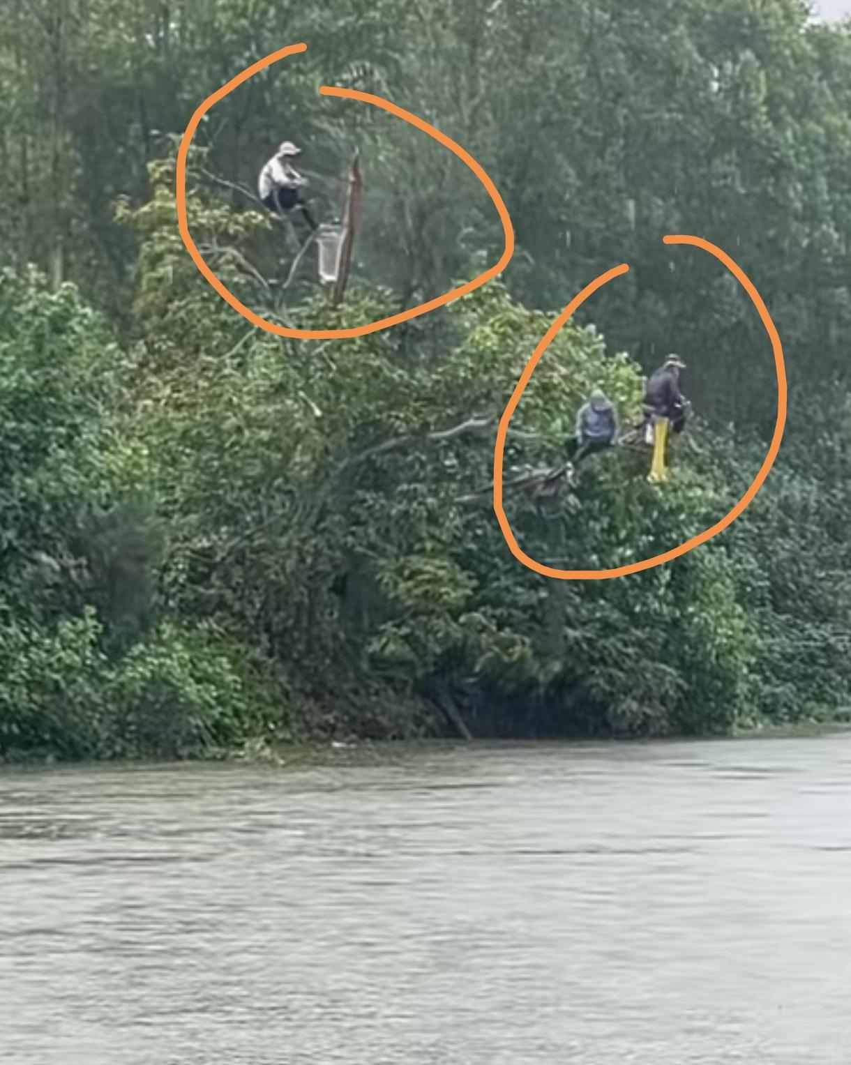 远看三只鸟，近看三个钓鱼佬，诸位的高度，小弟望尘莫及啊！