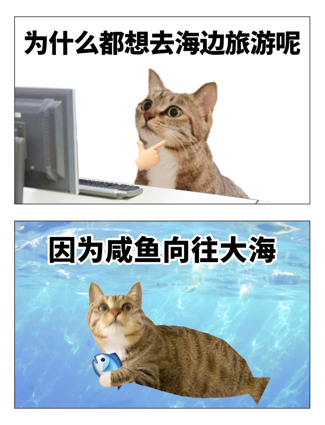 我喜欢旅游的原因